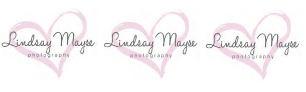 Lindsay Mayse Photography